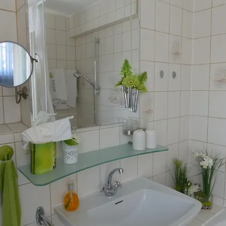 招待所 豪斯马吉亚m酒店 巴登韦勒