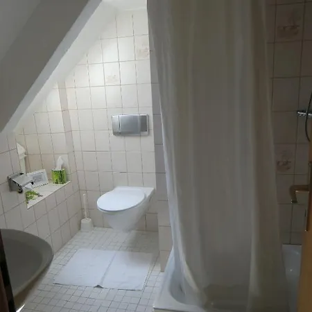 招待所 豪斯马吉亚m酒店 巴登韦勒