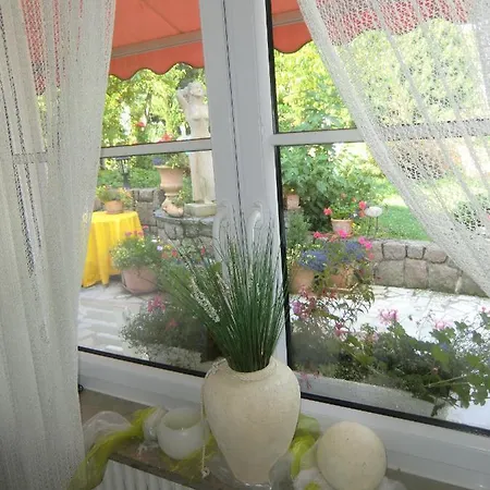 招待所 豪斯马吉亚m酒店 3*