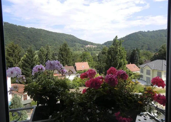 بيت ضيافة Haus Marija M 3*